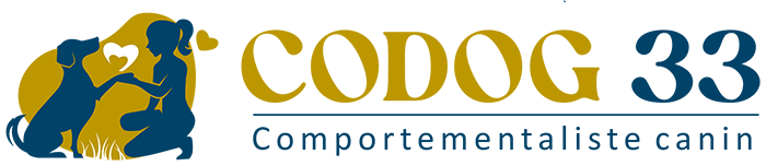 Réalisations sites internet Bordeaux - Logo Codog-33