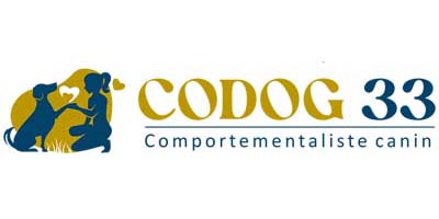 Realisations sites internet Bordeaux - Logo Codog33