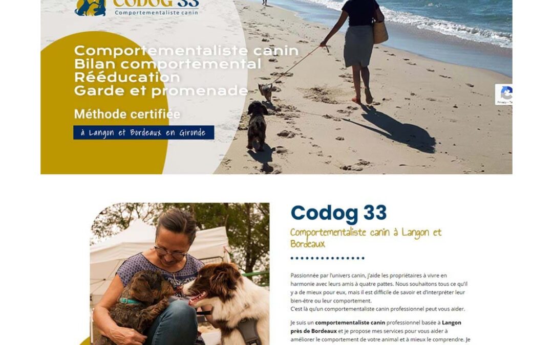 Codog33